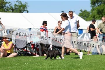 181564_rin_02_R62_4000.JPG