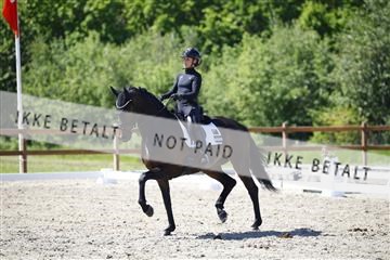 181449_kbb_01_6II9368.JPG
