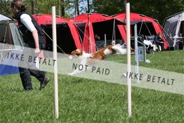 134871_ms_02_IMG_3021.JPG
