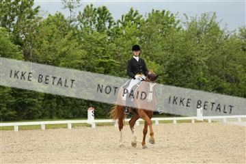 139835_sg_01_IMG_7382.JPG