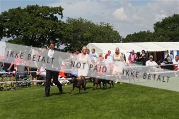 130370_se_03_IMG_7592.JPG