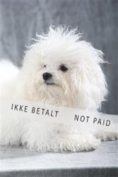 129608_le_ 01_0047.JPG