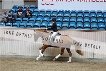 181887_mtp_04_R62_8249.JPG
