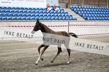 181754_kbb_01_Z093980.JPG