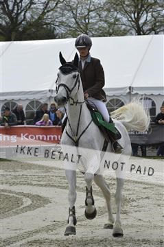 139644_abo_05__AB19895.JPG