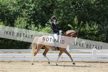 156196_nn_01_IMG_6251.JPG