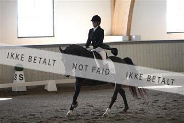 139267_kl_1_8M1Q7014.JPG