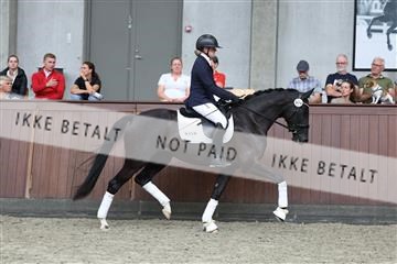 181852_mtp_05_R62_3345.JPG