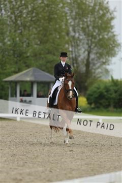139835_sg_03_IMG_9076.JPG