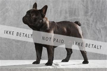 130054_le_ 01_0290.JPG