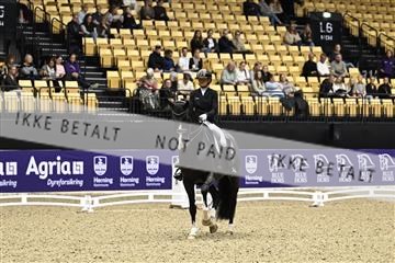 182194_kbb_03_Z090381.JPG