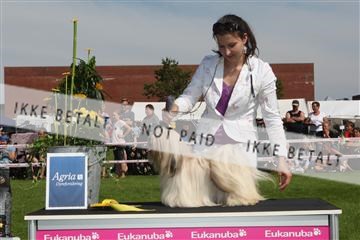 130370_se_02_IMG_6376.JPG