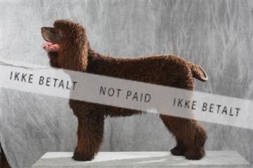 130054_le_ 01_0335.JPG