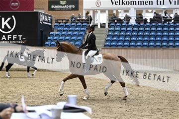 182241_kbb_01_Z093757.JPG