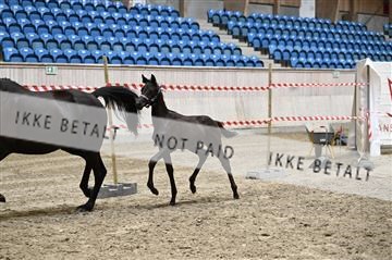 181754_kbb_01_Z093488.JPG