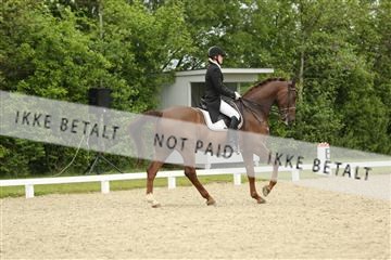 139835_sg_01_IMG_7271.JPG