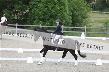172030_mtp_01_3M5A1616.JPG