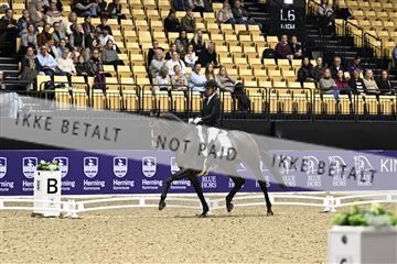 182194_kbb_03_Z090581.JPG