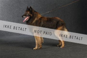 132082_le_ 01_IMG_0947.JPG