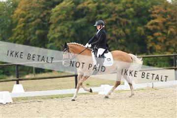181894_mtp_04_R62_3702.JPG