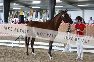 181756_mtp_01_R62_1661.JPG