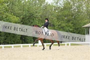 139835_sg_01_IMG_7714.JPG