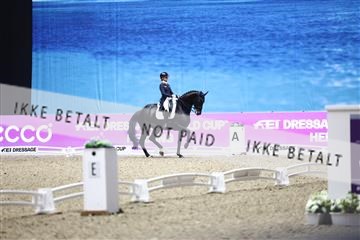 182194_avh_07_3985.JPG