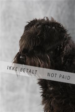 129608_le_ 02_0213.JPG