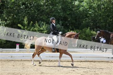 156196_nn_01_IMG_6252.JPG