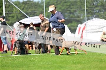181564_rin_01_R62_7608.JPG