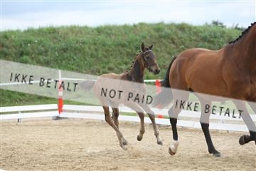 125406_sc_01_IMG_0840.jpg