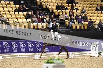 182194_kbb_03_Z090558.JPG