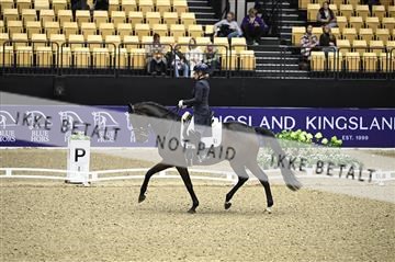 182194_kbb_02_Z098618.JPG