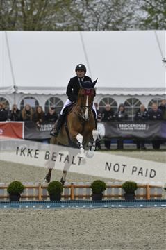 139644_abo_06__AB10365.JPG