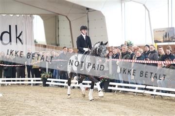 174363_kbb_01_R6II7880.JPG