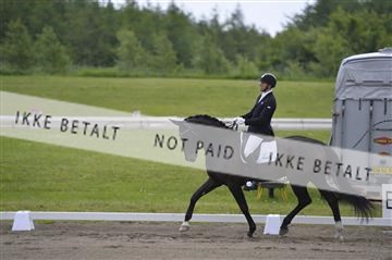 140040_abo_01__AB17539.JPG