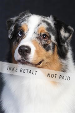 132082_le_ 01_IMG_0263.JPG