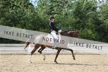 156196_nn_01_IMG_6516.JPG