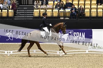 182194_kbb_03_Z091154.JPG