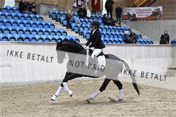 182241_kbb_01_Z093403.JPG