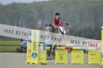 139644_abo_01__AB14297.JPG