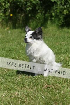 130370_se_03_IMG_7106.JPG