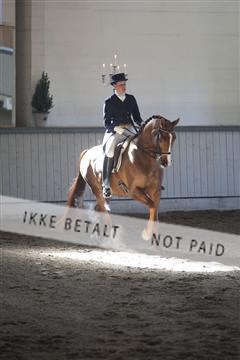 139267_kl_1_8M1Q6487.JPG
