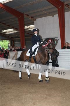 139835_sg_03_IMG_9248.JPG