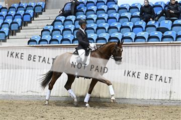 182241_kbb_01_Z093467.JPG