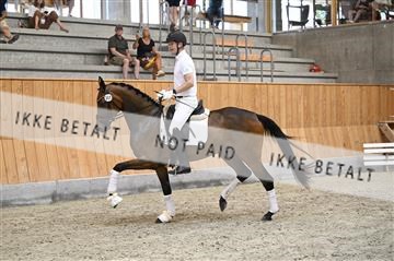 181595_kbb_01_Z097427.JPG