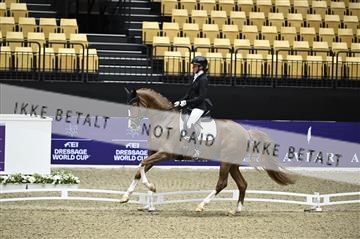 182194_kbb_01_Z095683.JPG