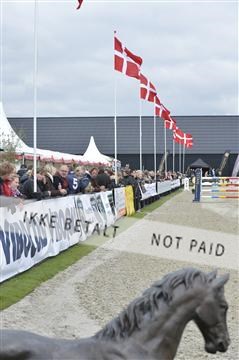 139644_bc_03__BC20941.JPG