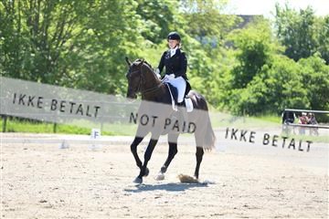 168732_mtp_01_3M5A7146.JPG