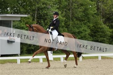 139835_sg_01_IMG_8056.JPG